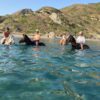 Swim with the Horses - Image 3