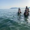 Swim with the Horses - Image 2