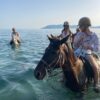 Swim with the Horses - Image 6