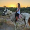 Swim with the Horses - Image 4