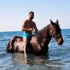 Swim with the Horses
