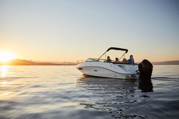 Sea Ray 230 Sun Sport - Image 6