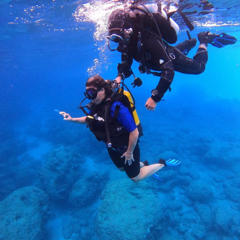 DCIM100GOPROGOPR1340.JPG